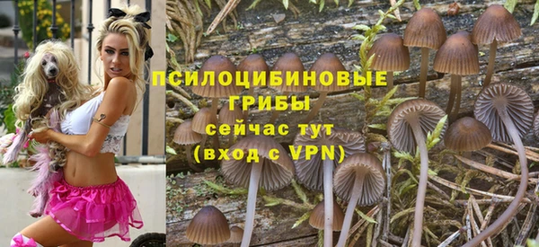 амф Алзамай