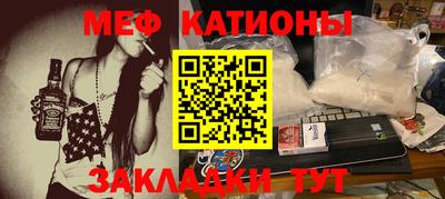 шишки Бийск