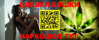 шишки Бийск