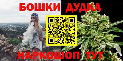шишки Бийск
