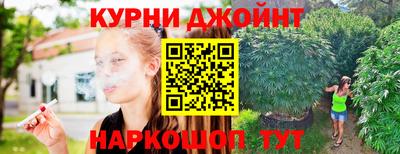 шишки Бийск