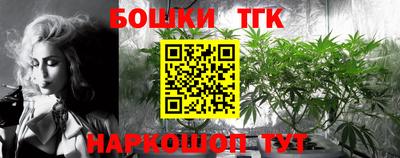 шишки Бийск