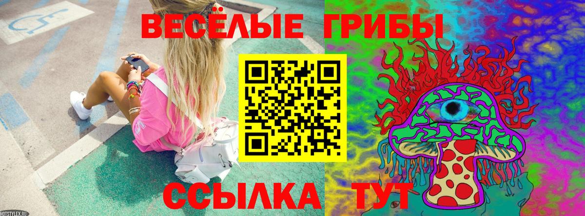 Галлюциногенные грибы Psilocybine cubensis  Вход с VPN  Еманжелинск 